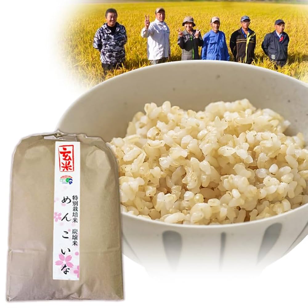 秋田県産 めんこいな 10kg 新米 めんこいな 秋田県産 10kg 白米 令和6年 精米 米 香りがよく