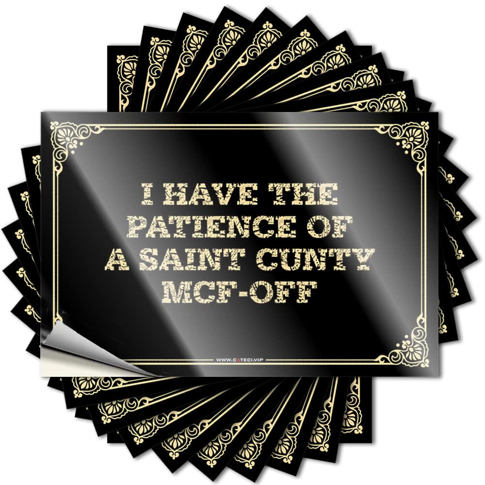 JNBT Cute Animal Label Motivational For Student - Teacher Bulk I Have The Patience Of A Saint Cunty Mcf-off: Fade Resistant Water Bottle Stickers Adults(12X18CM-6Pcs)