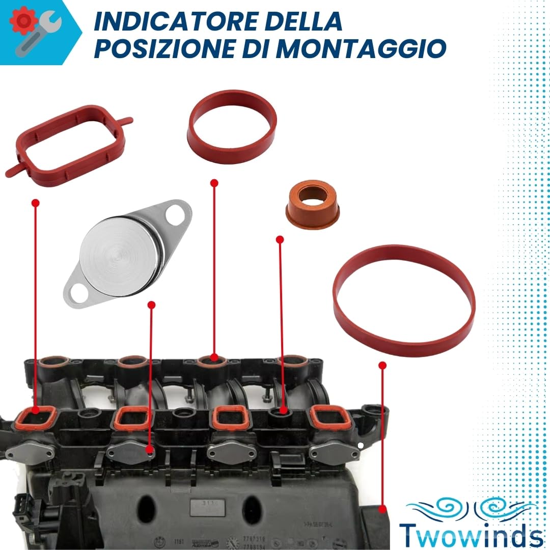 Twowinds - Kit Annullare Farfalle Collettore di Aspirazione (22 mm) Compatibile con BMW E90 E46 E39 E60 E61 E65 X3 X5 - Rimozione Swirl Flap - Eliminazione Valvole Swirl (14 guarnizioni e 4 tappi)
