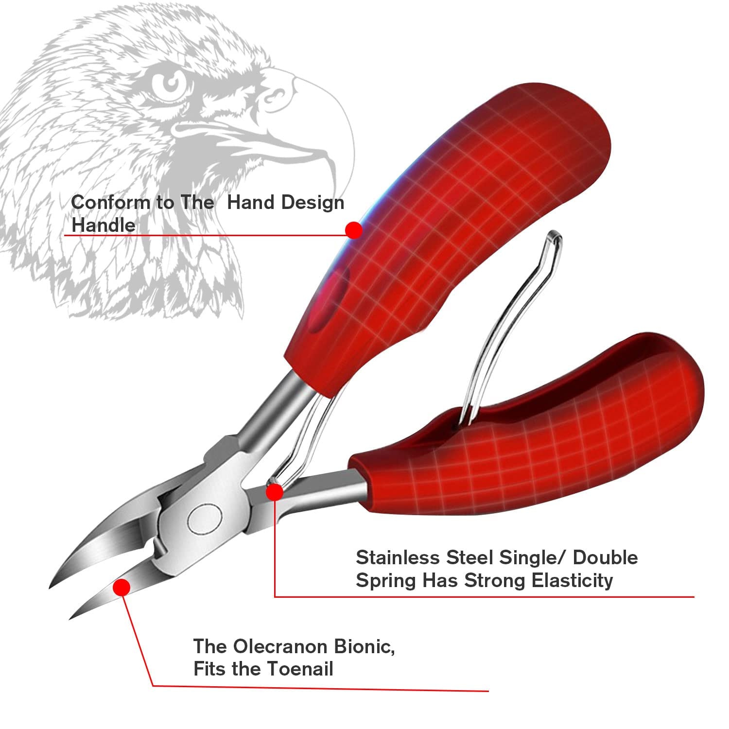 Tronchesino unghie piedi In Acciaio Inox di Precisione, Tronchese unghie piedi per Unghie Spesse, Tronchesino Tagliaunghie Professinale, Manicure Strumenti per Incarniti Unghie dei Pied