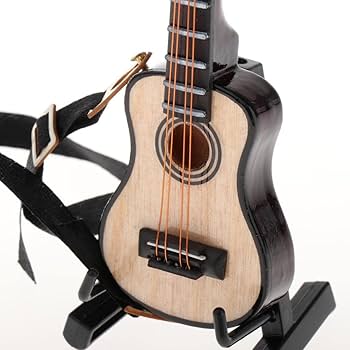 5年前に12弦ミニギターを買い、頼んでネコの絵を