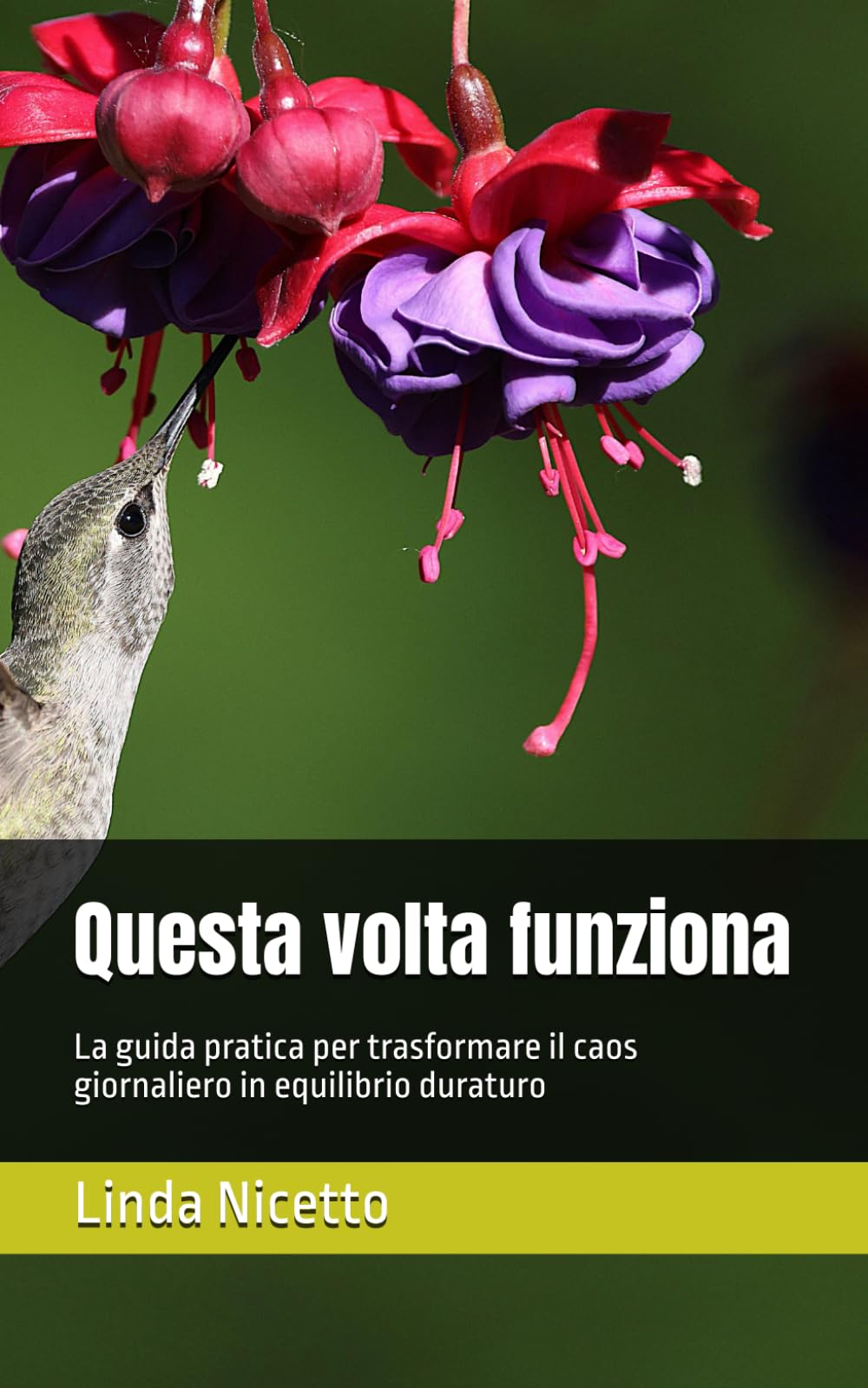 Questa volta funziona: La guida pratica per trasformare il caos giornaliero in equilibrio duraturo