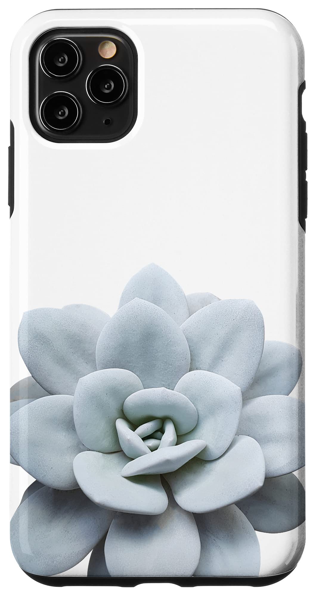 iPhone 11 Pro Max Echeveria Laui Succulent Case