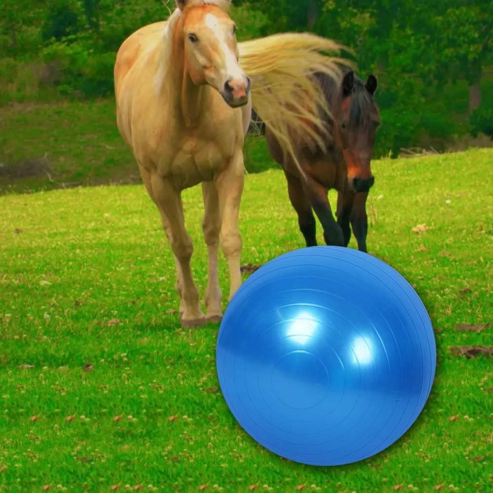 Giocattolo per allenamento a forma di palla di cavallo, anti-scoppio con pompa di gonfiaggio, per cavallo, agnello, capra, giocattolo di intrattenimento (55 cm, blu)