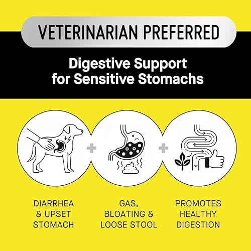 Miniatura 2 de Koby Polvo probiótico para perros, fabricado con ingredientes orgánicos limpios del USDA para el apoyo intestinal, digestivo, de la piel