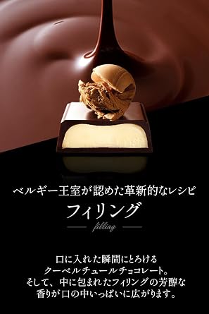 Galler Chocolate Mini Bars, 10 Pieces, Belgian Royal Family Purveyor, Valentine's Day, New Year's Gift, Present, Sweets, Candy, Individually Wrapped, Includes Gifting Bag, Available for Order