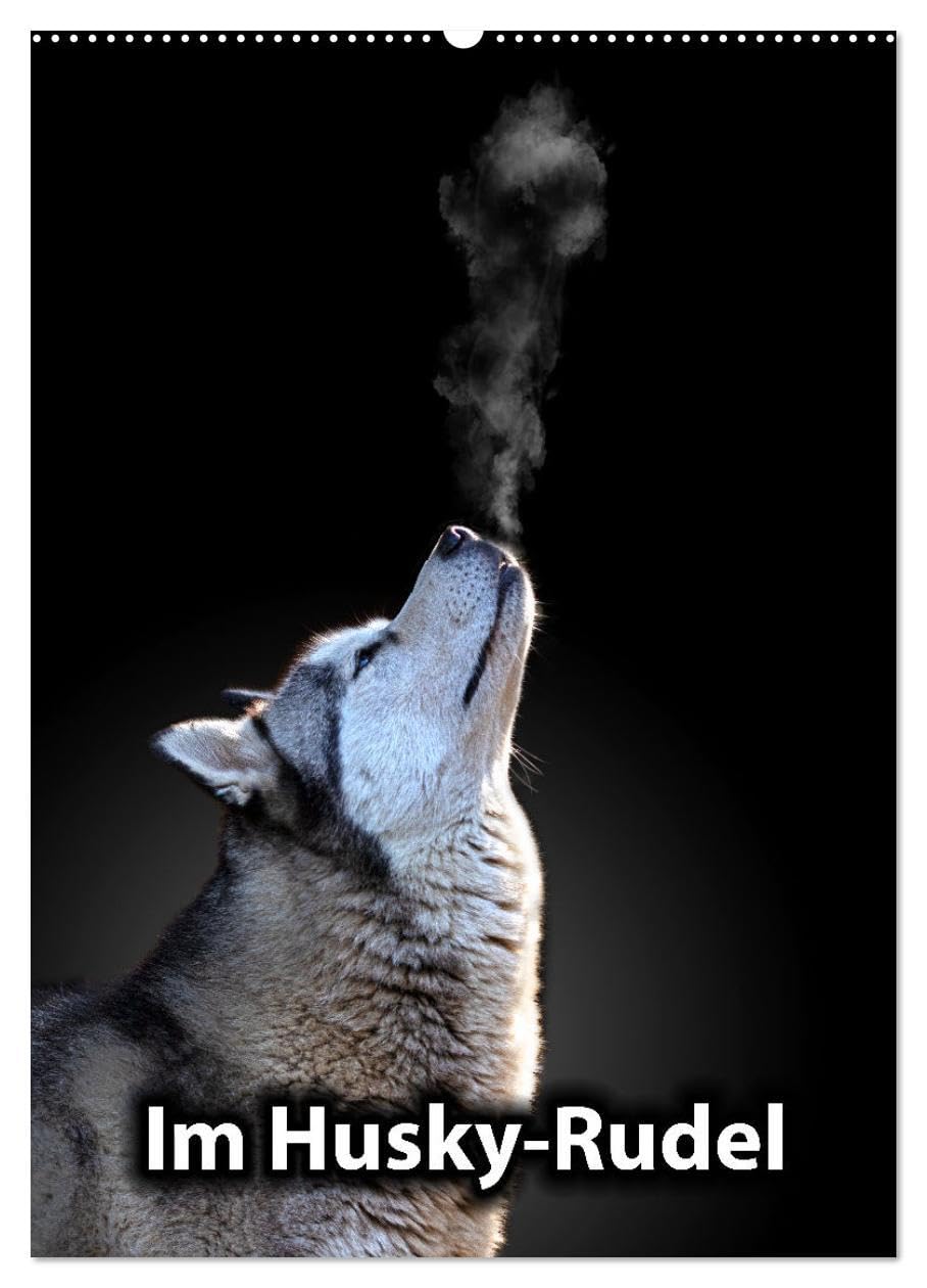 Im Husky-Rudel (Wandkalender 2026 DIN A2 hoch), CALVENDO Monatskalender: Eine charakteristische Bilderserie, die das friedvolle und spielerische ... von Huskies dokumentiert. (CALVENDO Tiere)