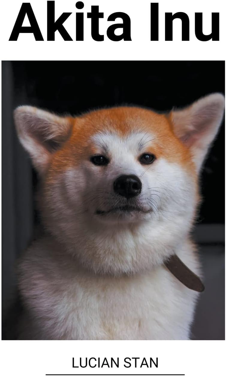 Akita Inu