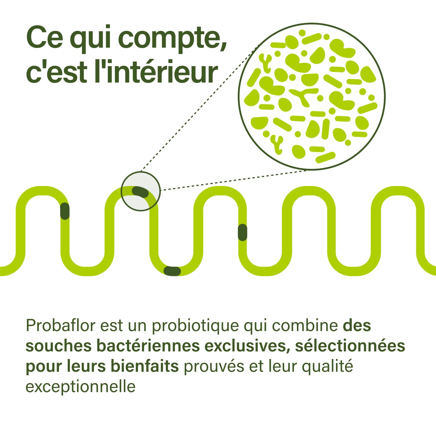 Nupure Probaflor 110 gélules, 20 milliards d'UFC, 11 souches bactériennes, inuline, Lactobacillus salivarius SP2