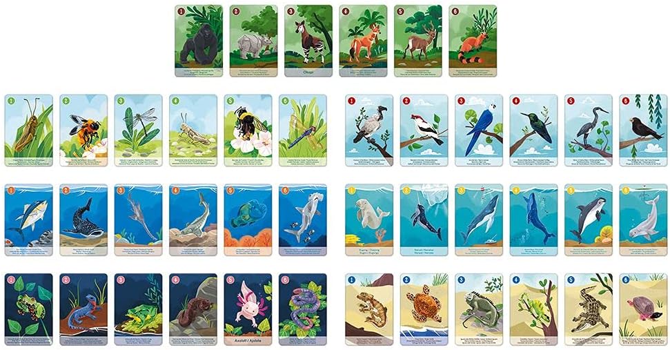 Janod WWF Priority Species 350 Pieces Educational Puzzle with Animal Figures - Ages 7+ - J08633