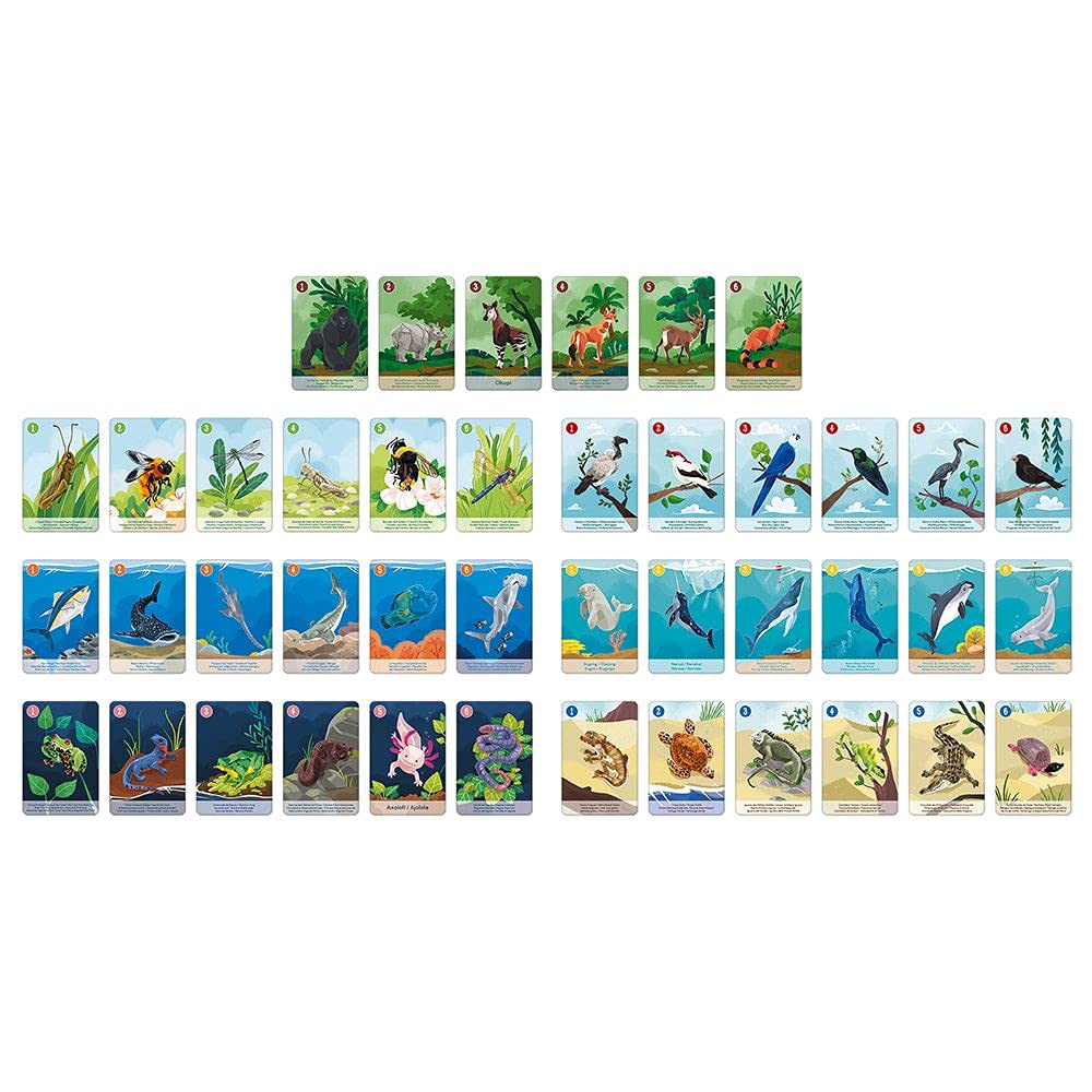 Janod - Gioco Da Tavolo 'Missing Person! Endangered Animals' - Educativo E Cooperativo - 6+ Anni