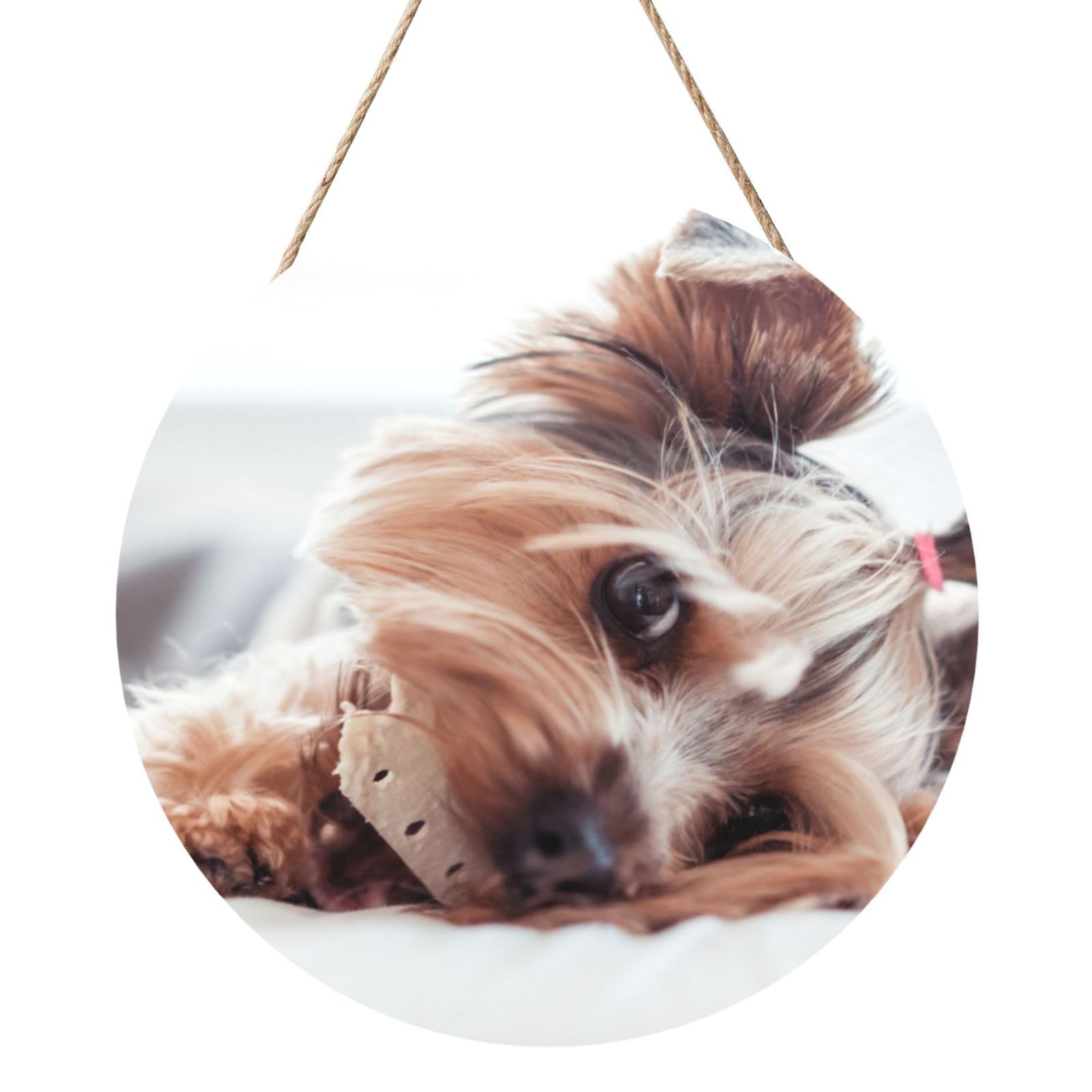 InOmak Yorkshire Terrier, Round Wood Panel Painting 12 in, Wall Hanging Painting For Home