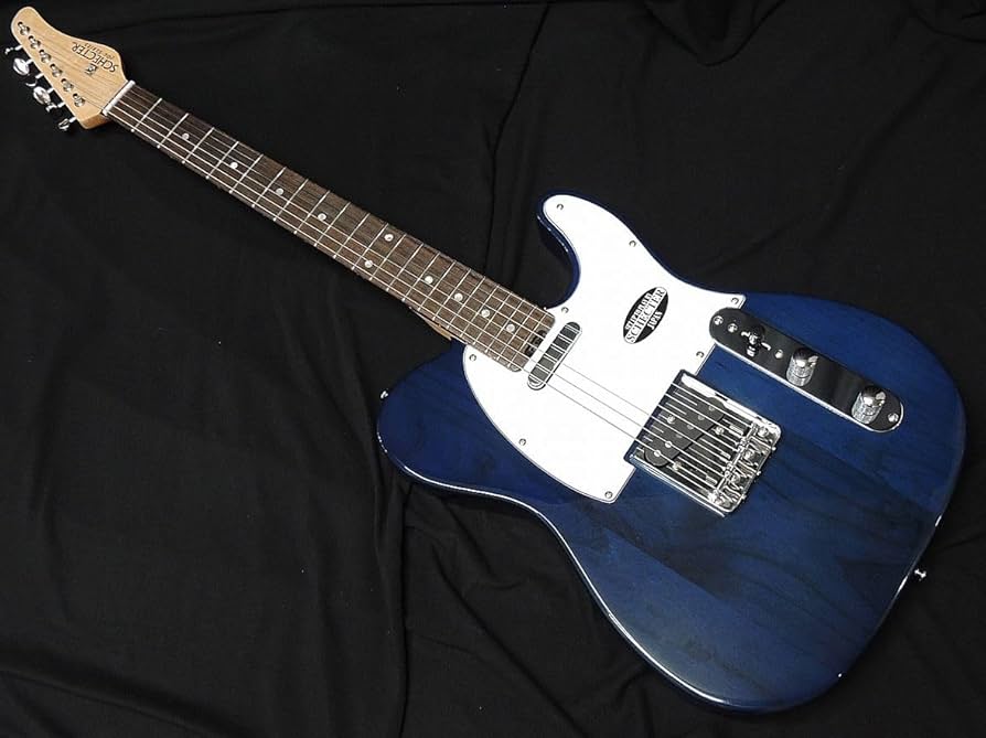 Amazon | SCHECTER OL-PT-AL DBL R シェクター テレキャスター タイプ