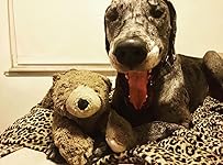 Review Image by Amazon Customer