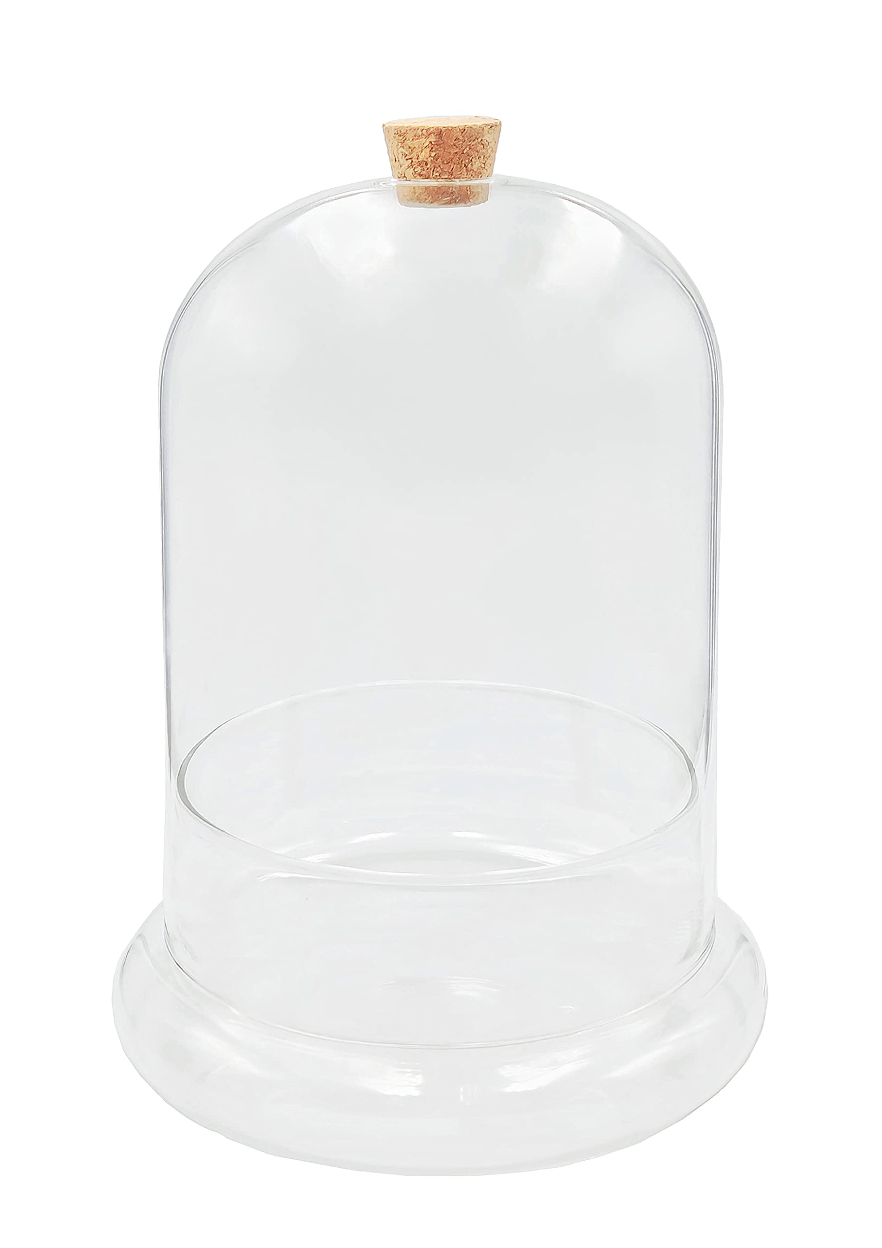 WAVY STUDIO Handblown 7" Glass Terrarium with Opening for Air Flow & Cork Stopper Cloche Style Glass Dome Vivarium Display Case (Small)