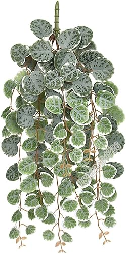 AOKID Planta de ratán simulada, cadena colgante artificial de plantas de corazón de bajo mantenimiento, imitación de eucalipto simulado, macetas