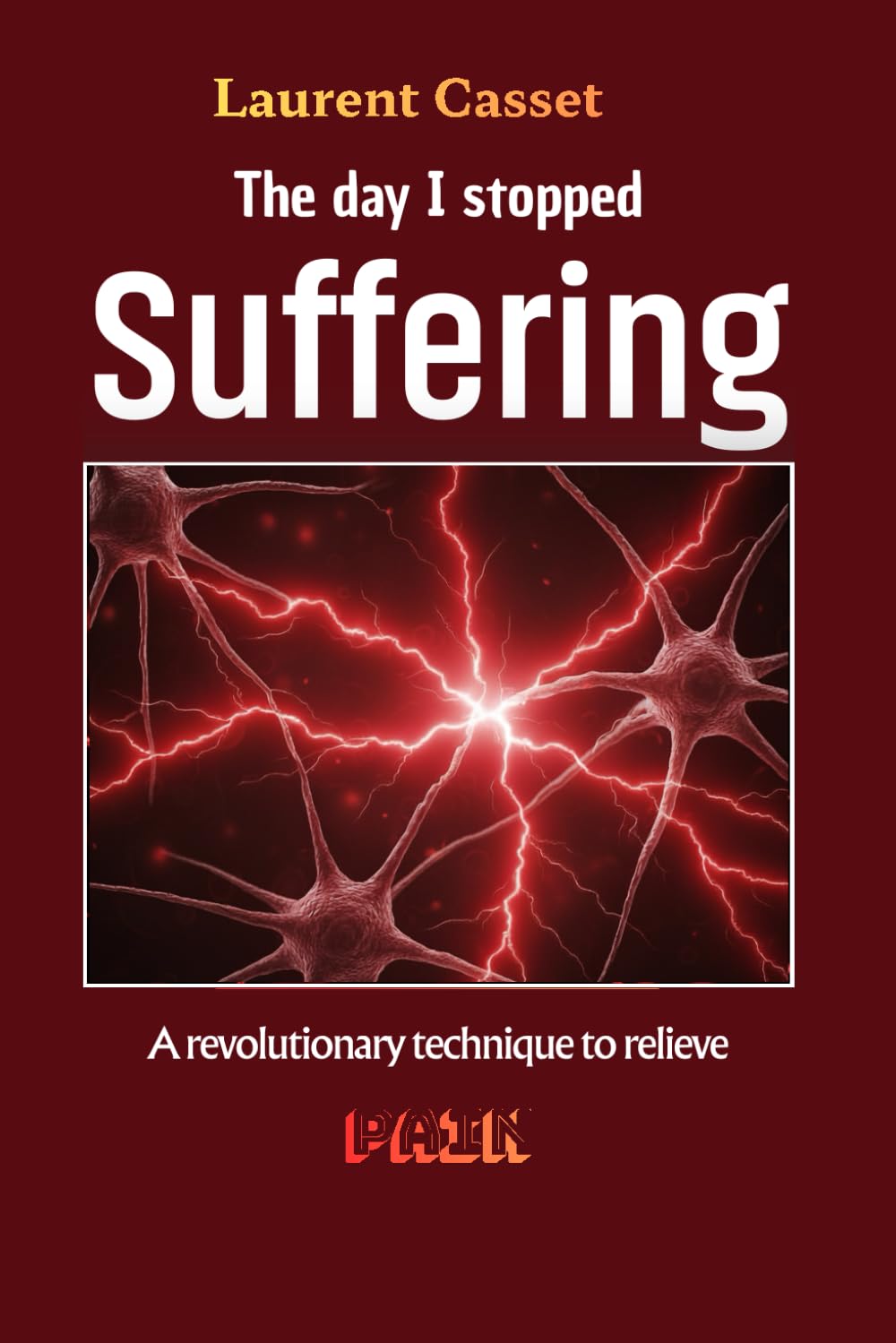 THE DAY I STOPPED SUFFERING: A revolutionary technique to relieve pain