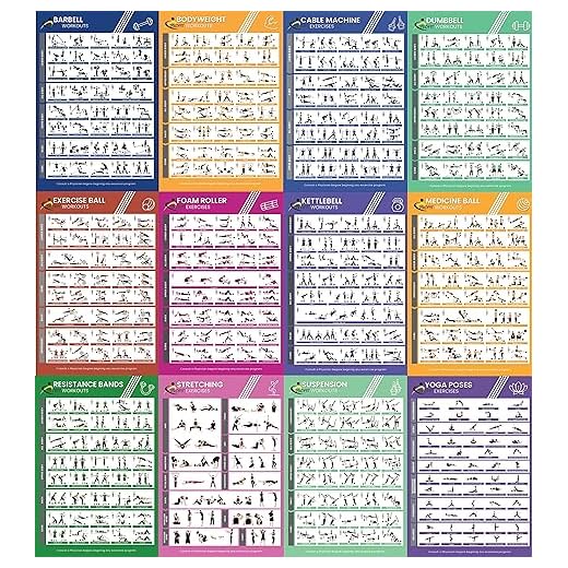 Profit Nuevo deporte ejercicio gimnasio casa -12 carteles fitness, laminas plastificadas para ejercicio para hombres y mujeres, bandas elásticas, yoga, pesas rusas, mancuernas.…