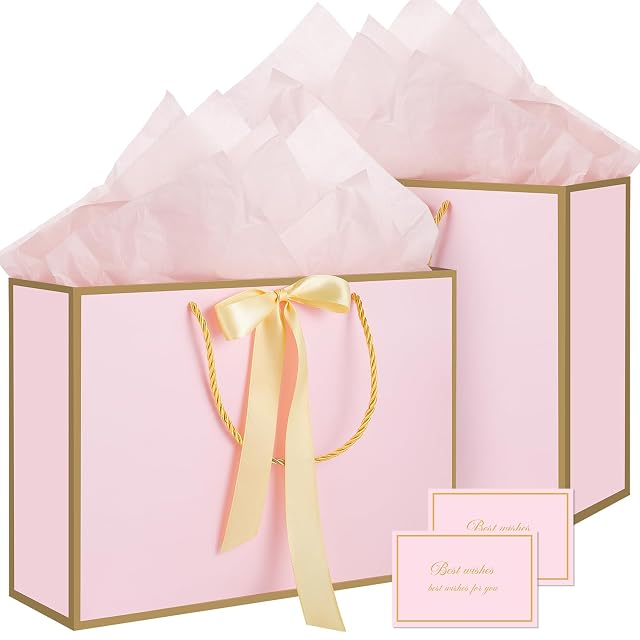 woric Pink Gift Bags with Handles 14 Medium Gift Bags with Tissue Paper 2 Pcs Pink Bags with