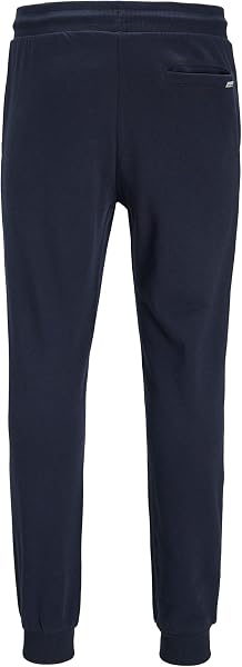 JACK & JONES Pantalon de survêtement Pantalon de survêtement Regular Fit - 4
