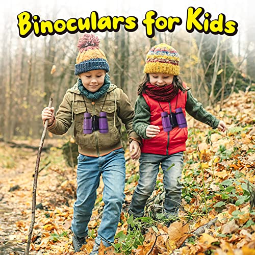 Image of Binoculars for Kids Toys Gifts for Age 3-12 Years Old Boys Girls Kids Telescope Outdoor Toys for Sports and Outside Play Hiking, Bird Watching, Travel, Camping, Birthday Presents (Purple) | Toys Gifts for Age 3-10+ Years, Boys Girls Telescope, Outdoor Sports & Bird Watching, Birthday Presents