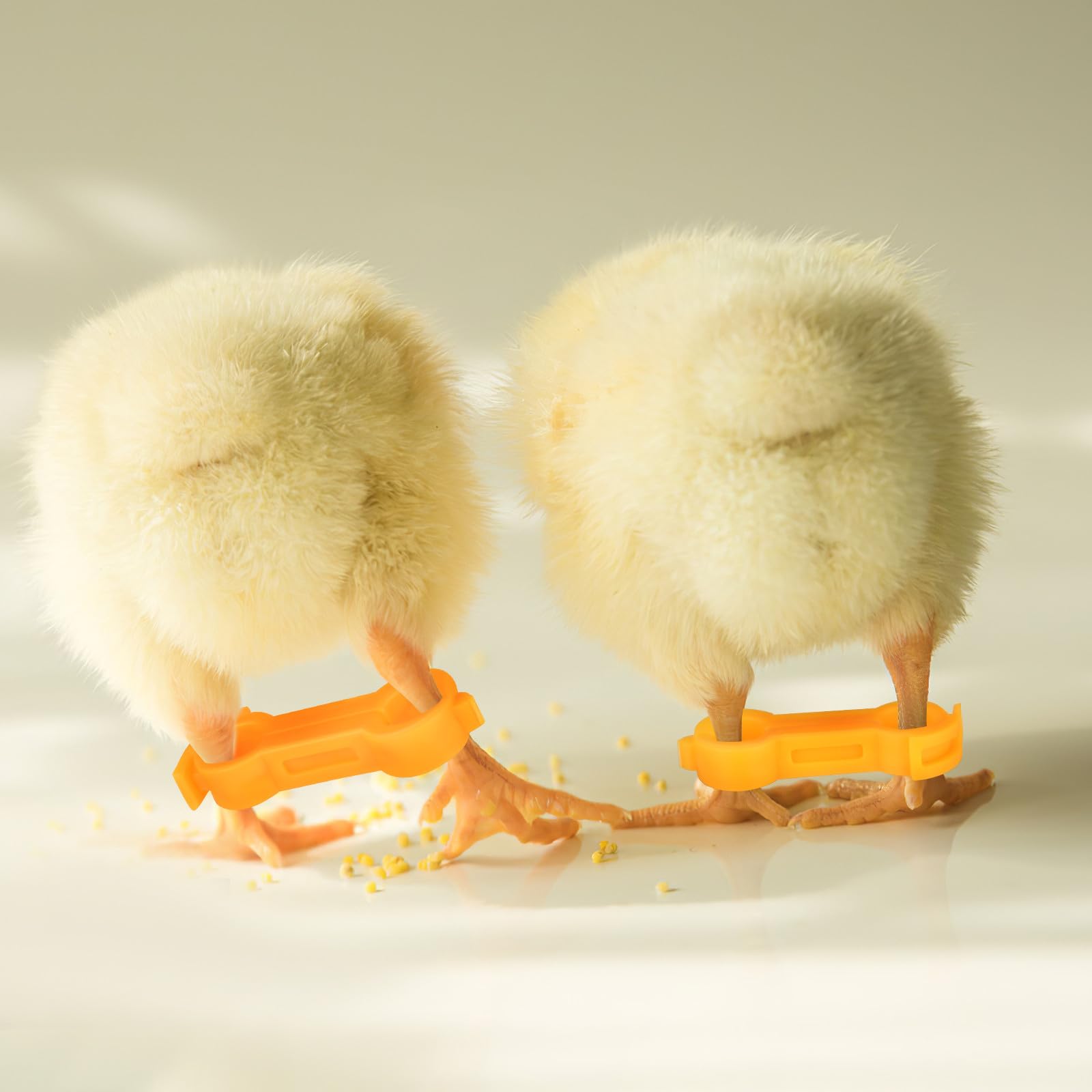 TEHAUX Bandas Correctoras para Patas de Pollitos y Aves, Anillos de PVC de Diferentes Tamaños, Sujeción Segura Crecimiento Saludable, Paquete de 12 Unidades Amarillas