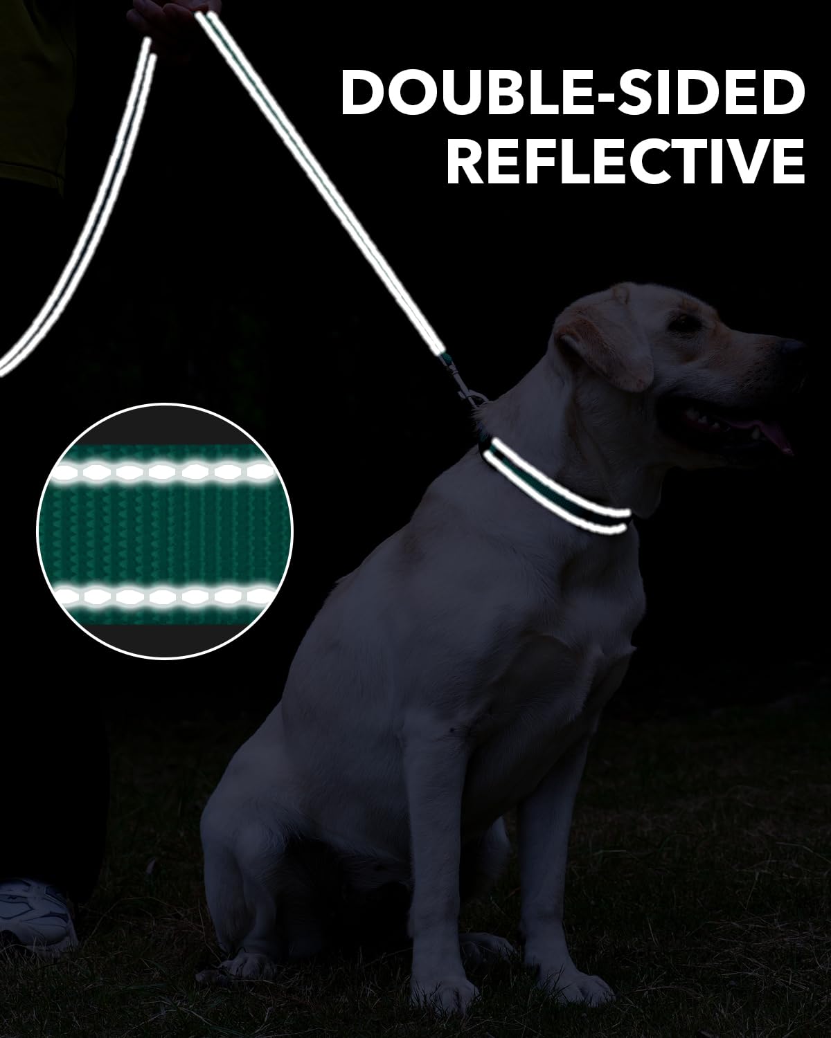 Taglory Guinzaglio per Cani Riflettente con Manico Imbottito e Gancio in Metallo, Nylon Resistente Addestramento Cane Guinzaglio, 1.8 m x 2.0 cm, Turchese