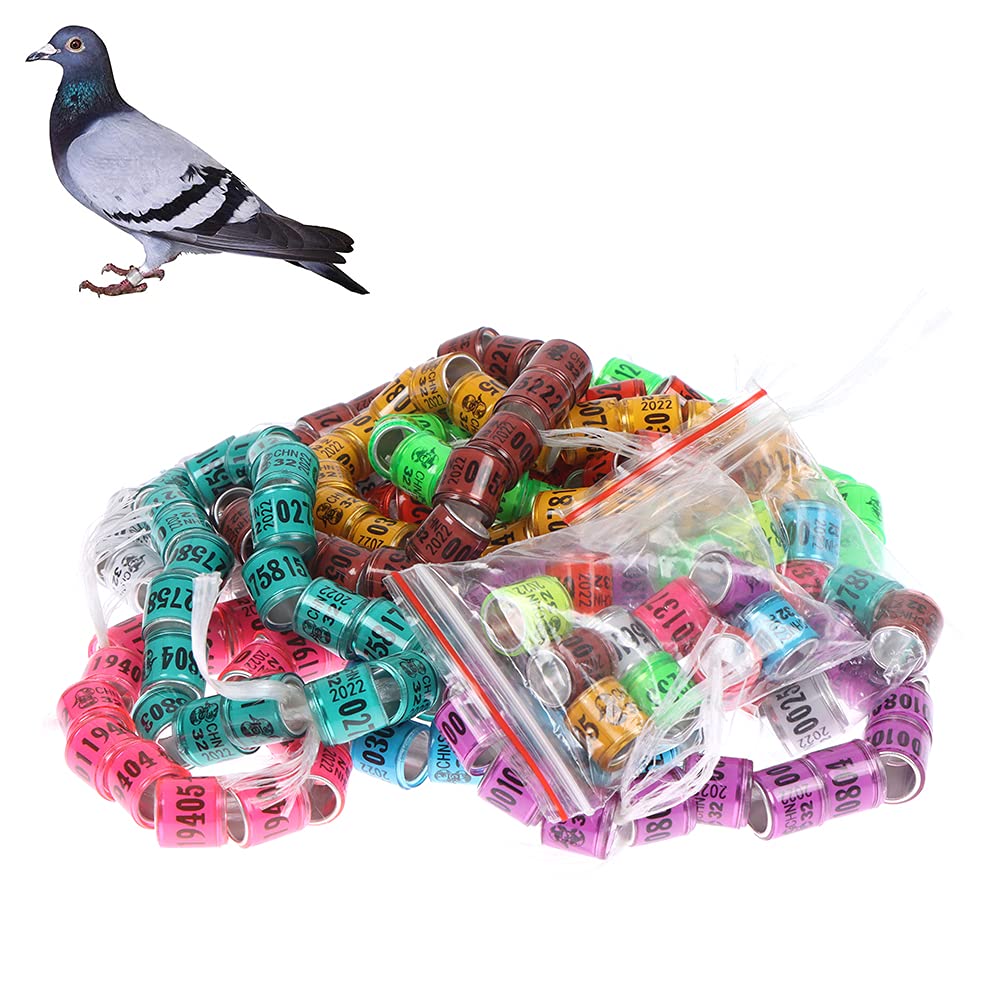 Buy kekafu 200 Pcs Chicken Bird Leg RingsColorful Numbered Chicken Birds Identification Leg