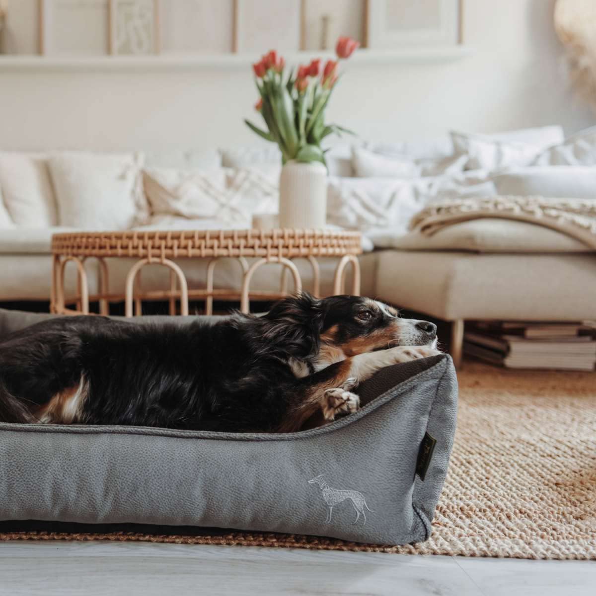 HUNTER Orthopädisches/Ergonomisches Hundekissen Merida mit Memoryschaum, Kann eine gelenk- und rückenschonende Haltung unterstützen; Rutschhemmende Unterseite, Farbe: anthrazit, Größe: L