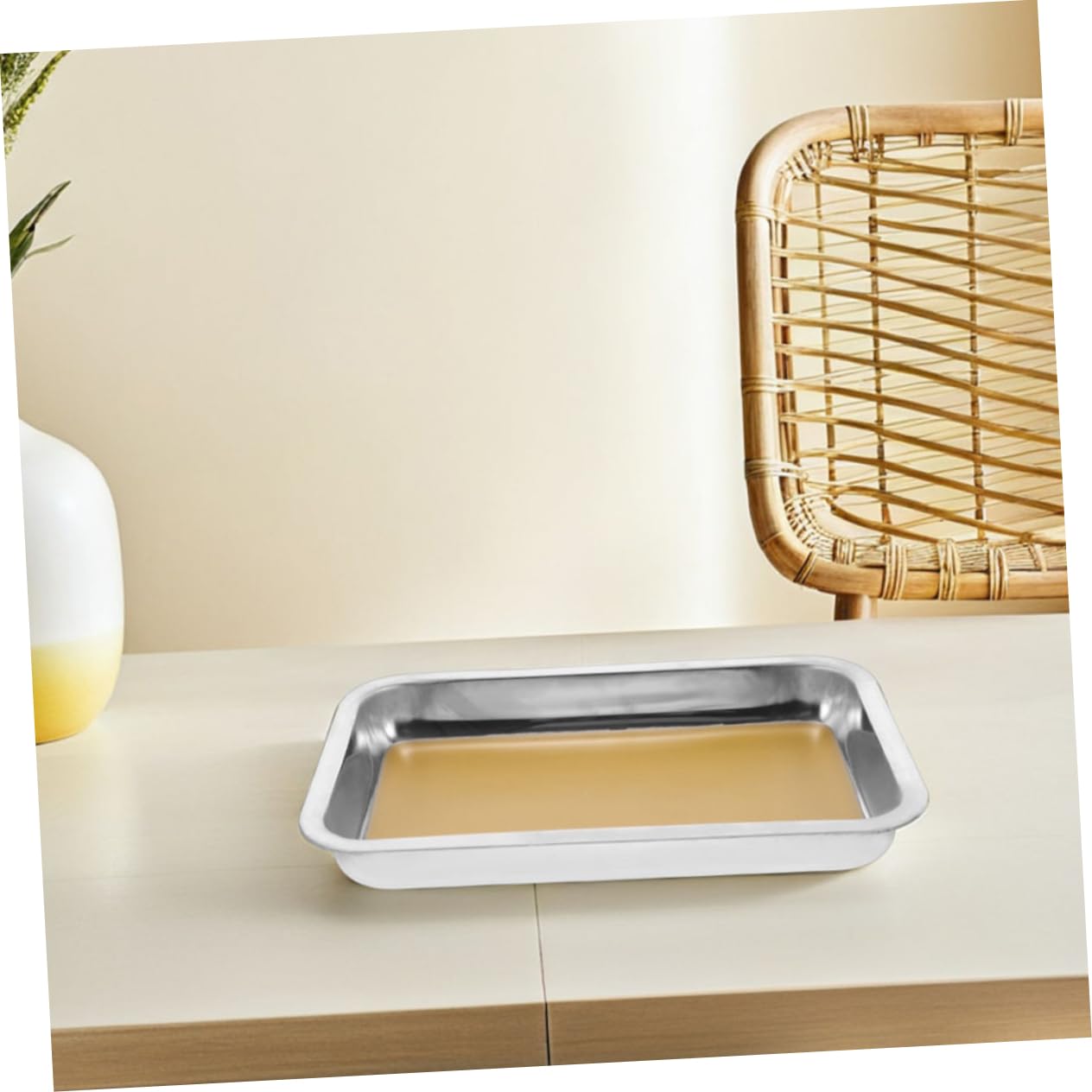 Vaschetta per Dissezione A4 in Acciaio Inox, Set 2 Pezzi
