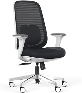 HANCHEN Ergonomic Office Chair with Lumbar Support & Adjustable Seat Depth | Breathable Mesh Back, Expanded Lumbar Support, Adjustable Armrests & Seat Depth, 330 lbs, BIFMA Certified, for Home & Office