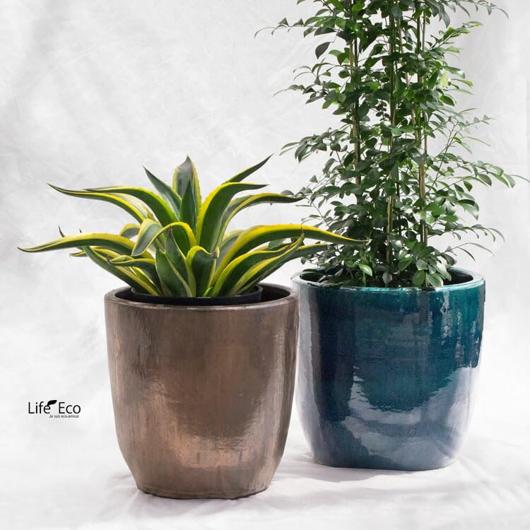 Amazon | 植木鉢 釉薬陶器製 ループ ラウンド ターコイズ