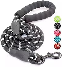 Durable Dog Leash, 61.0 in (155 cm), Easy-to-Hold Foam Handle, High-Visibility Luminous Material, Suitable for Medium and Large Dogs, Extra Bonus Included, Black