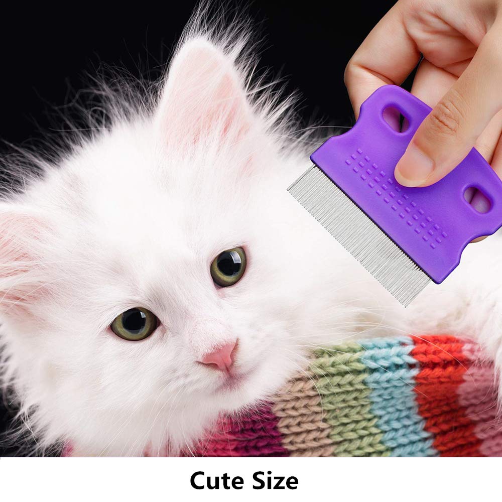 The Best Flea Combs of 2023 More Happawness