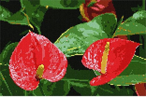 Pepita Needlepoint kit: Anthurium Flamingo Flowers, 12" x 8"