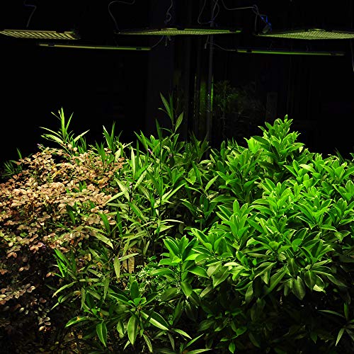 LED Grow Light 300W, Relassy Full Spectrum Grow Light, Plant Light for Indoor Plants, 338 Sunlike LEDs, 22inch Large Indoor Plant Light, Commercial Indoor Grow Panel Light for Seeding Veg and Flower - Thumbnail 7
