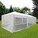 Quictent Heavy Duty Party Tent Outdoor Canopy Tent for Parties with Mesh Sidewalls (10' x 30' with 2 Sidewalls)