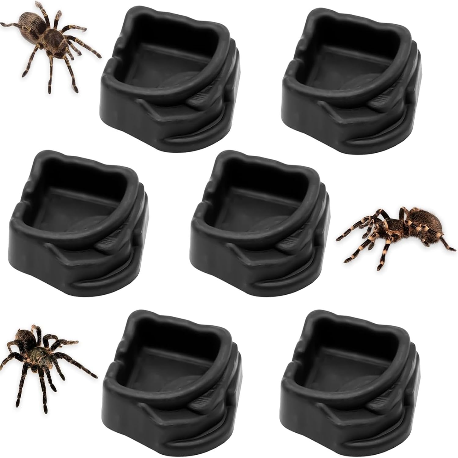 Zheigaoxea 6 Pack Spider Micro Water Bowls, Mini Resin Dish for Tarantula, Spider, Millipede and Tiny Reptiles, Food/Water Dish for Enclosure Accessories(1.65" D, 0.59" H)