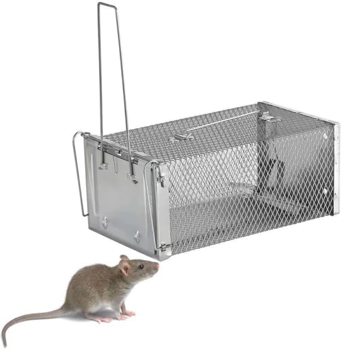 Trampa para ratas de metal XXL, jaula para ratones, jaula atrapadora de ratas, no mata, reutilizable, atrapa ratas y otros roedores para interiores y exteriores (2 unidades)