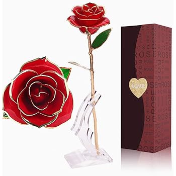 red rose to girlfriend