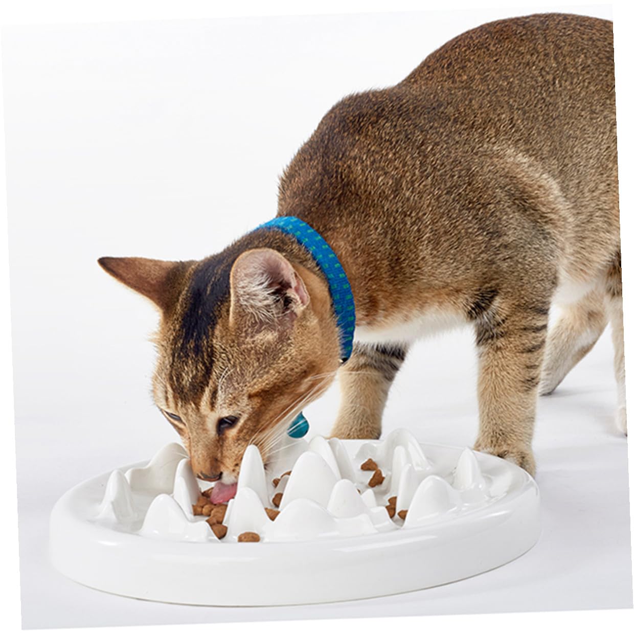 Gamelle pour Chat en Céramique, Mangeoire Lente Puzzle Anti-Chocs | Blanc, Forme Labyrinthe, sans Odeur, pour Chat et Chien, Alimentation Ludique, Usage Quotidien