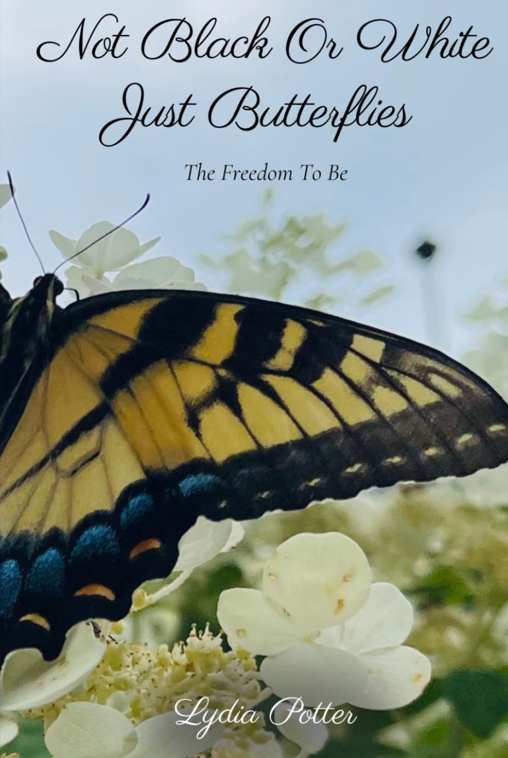 Not Black Or White, Just Butterflies: The Freedom To Be      Hardcover – March 2, 2026
