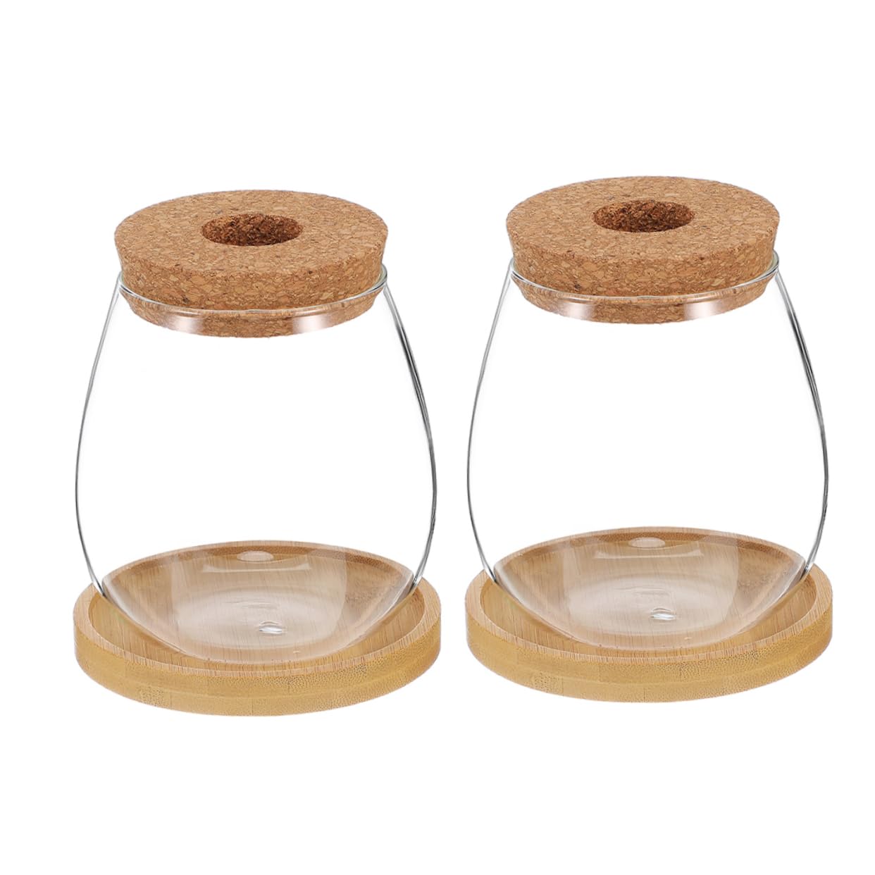 Vase hydroponique verre sur votre bureau pour végétaliser votre espace