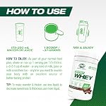 PVL Sport Whey – Nettoyer 100% Poudre de protéines de lactosérum (2.27 kg, Chocolat riche)