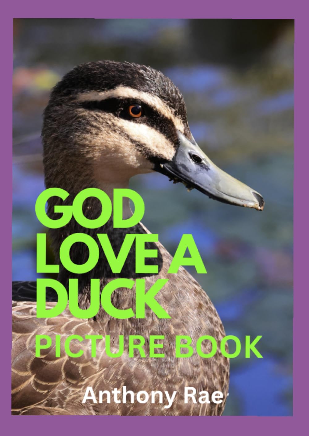 GOD LOVE A DUCK: Wildlife photography, Nature, animals, childrens books, ducks, picture books,