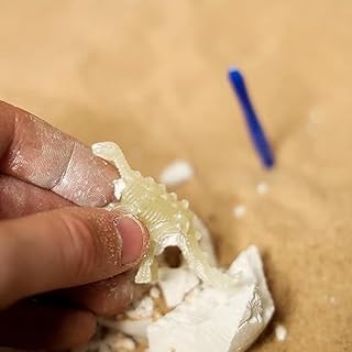 Dinosaur Fossil Kit