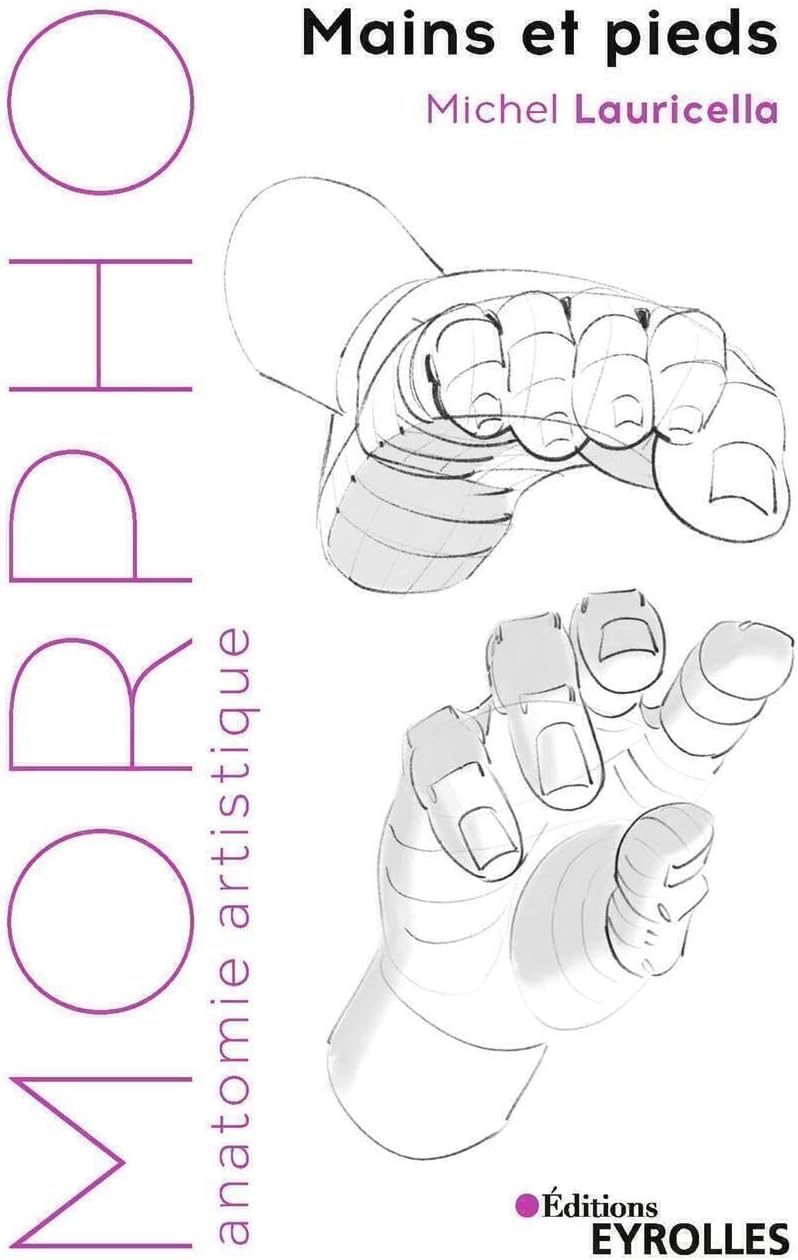 Morpho : Mains et pieds