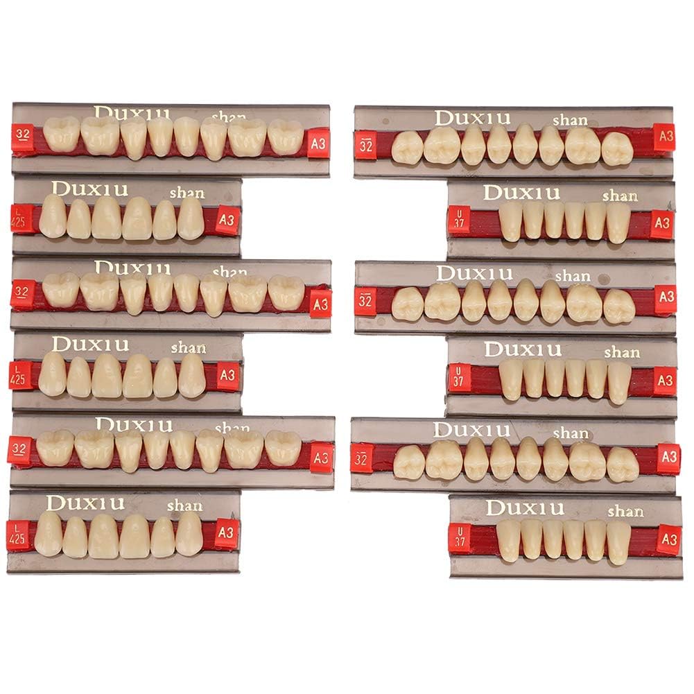 Denti in Resina Sintetica Acrilica per Protesi Dentale, Modelli Dentali, Forniture per Dentisti