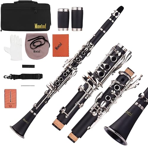 Clarinete plano Bb - Instrumento de viento de madera para estudiantes principiantes de 17 teclas con 2 barriles y estuche de transporte, incluye kit