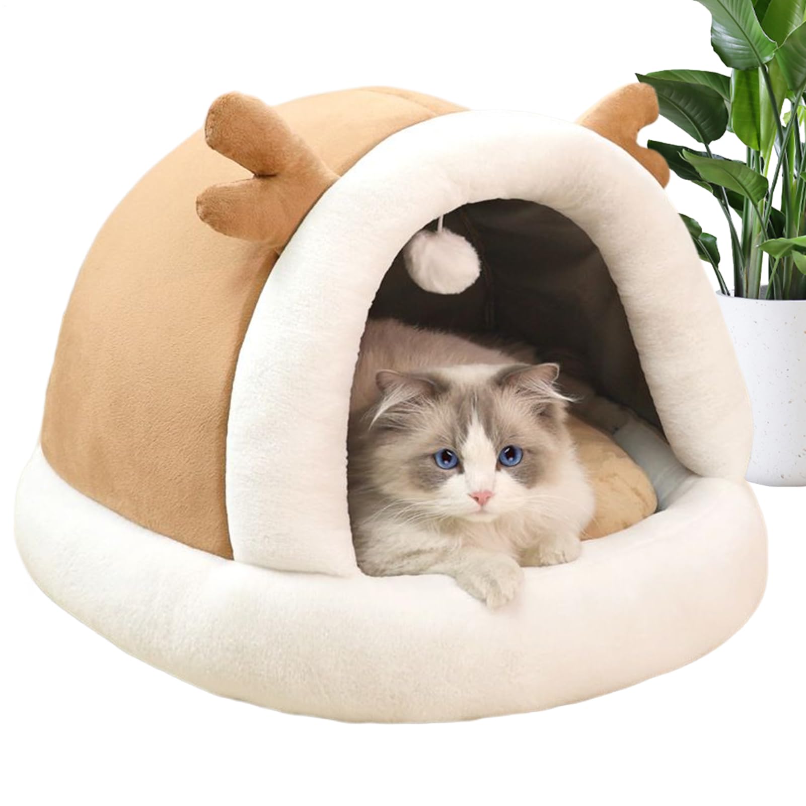 Maison pour chat et lit fermé pour apaiser l'anxiété du chaton